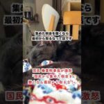 Thumbnail of post image 151