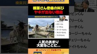 Thumbnail of post image 011