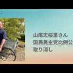 Thumbnail of related posts 011