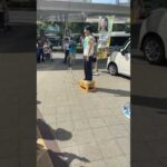 Thumbnail of post image 131
