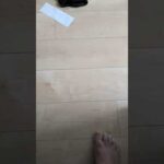 Thumbnail of related posts 051