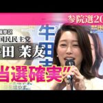 Thumbnail of related posts 115