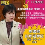 Thumbnail of related posts 013