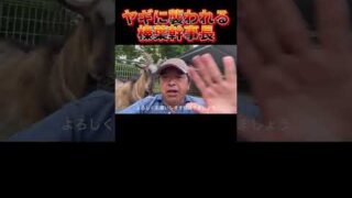 Thumbnail of post image 109